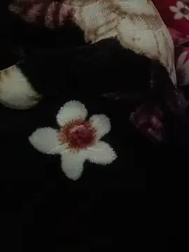 indianshycouple online show from April 2026 10:10:01 AM