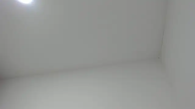bellalumi online show from March 2026 02:43:02 AM