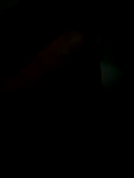 Novindapikgrossa online show from December 2025 11:34:02 AM