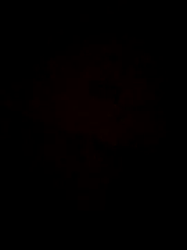 Jann Riya333 online show from February 2026 01:26:02 AM