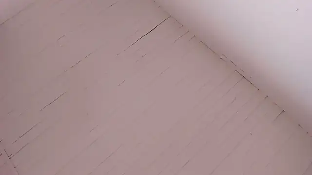 BellaBoobs  online show from October 2025 07:33:01 PM