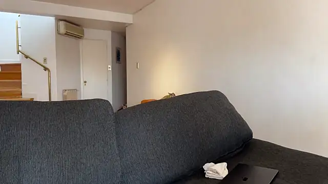 lenruy online show from March 2026 02:29:02 PM