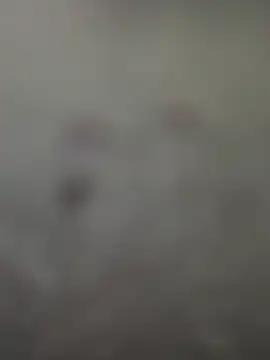 Rimvideo online show from July 2026 08:23:02 PM