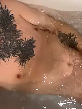 Rimvideo online show from February 2026 11:37:02 PM