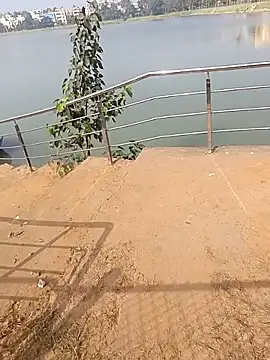 king godgm online show from December 2025 04:03:02 AM