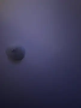 Troydaddy578 online show from April 2026 04:25:02 AM