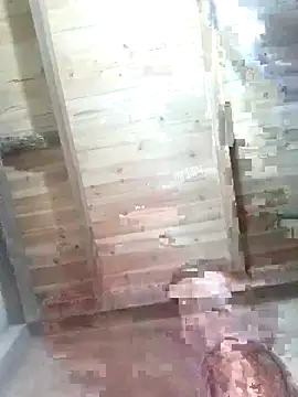 Fienjr online show from February 2026 01:38:01 AM