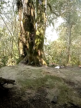 rubi bae online show from April 2026 02:46:01 AM