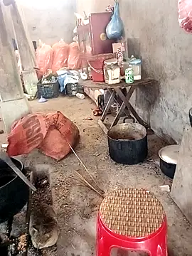 rubi bae online show from February 2026 04:02:02 AM