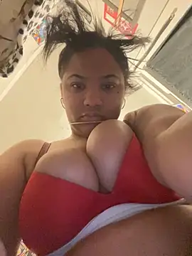 StylishEchium online show from November 2025 08:53:01 PM