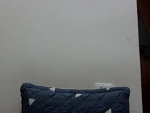 Kiko sunflower online show from March 2025 03:32:02 AM