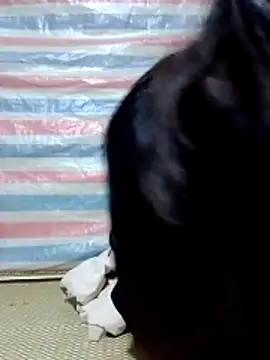 Georgia here online show from December 2025 12:37:02 AM