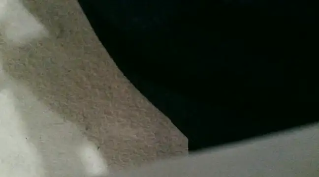 sexypunjabi26 online show from January 2025 11:21:02 AM