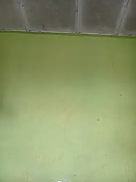 phumlanisanka online show from November 2025 07:56:01 AM