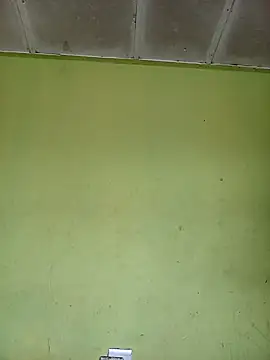 phumlanisanka online show from November 2025 07:35:01 AM