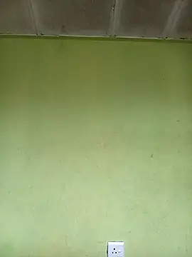 phumlanisanka online show from November 2025 06:28:01 AM