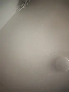 PrincessP8989 online show from March 2026 05:33:02 AM