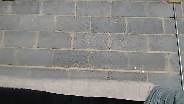 Snapshot of Vince_Favent chatting on September 2025 01:56:01 AM Vince Favent online show from September 2025 01:56:01 AM