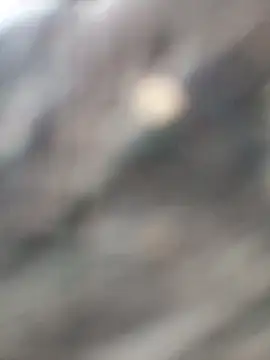 Arya85 online show from November 2025 03:43:02 AM