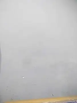 YourTarzan online show from December 2025 08:09:02 AM