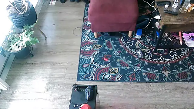 Sicksob online show from May 2026 05:29:02 PM