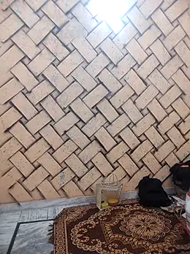 meenu bhabhi547 online show from February 2026 04:34:02 AM