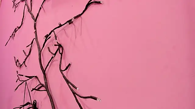 Liam evvan online show from January 2026 02:59:02 AM