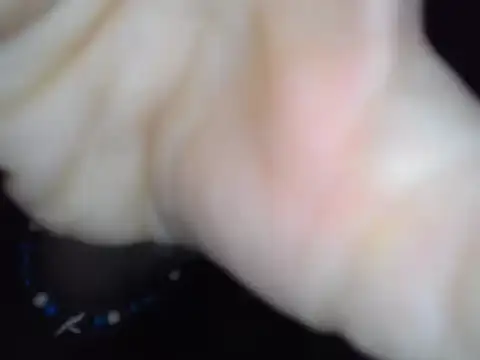 Miss Nona online show from January 2026 06:09:02 AM