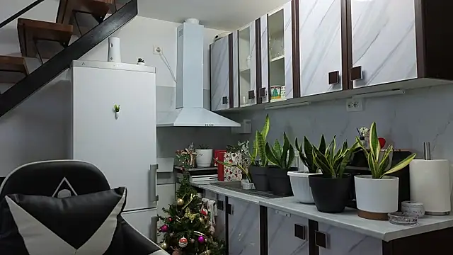 RyanStorm  online show from January 2026 02:34:02 PM