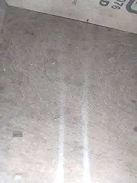 avi007p online show from February 2026 01:00:02 PM