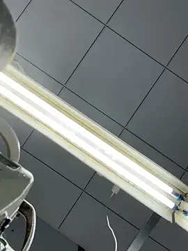 DHJM168 online show from December 2025 01:21:02 AM