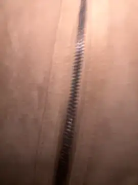 FroggyAnna online show from November 2025 03:39:02 PM