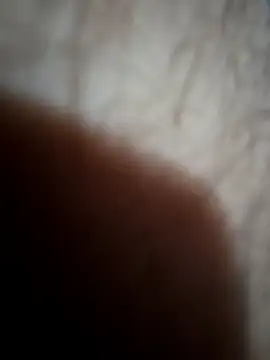 Beefitout online show from April 2026 10:56:01 PM