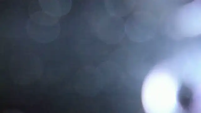 Luna Analya online show from February 2026 01:40:01 PM