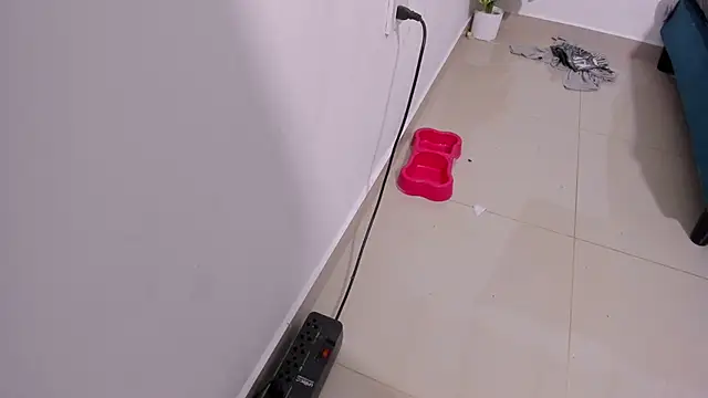 Rihanna hotx online show from December 2025 03:30:02 AM