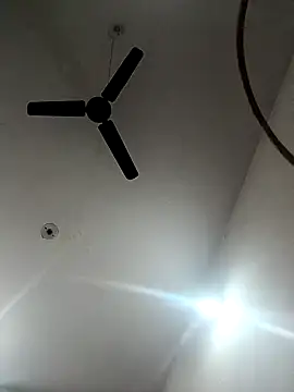 Snapshot of Appypie chatting on November 2025 05:44:02 AM Appypie online show from November 2025 05:44:02 AM