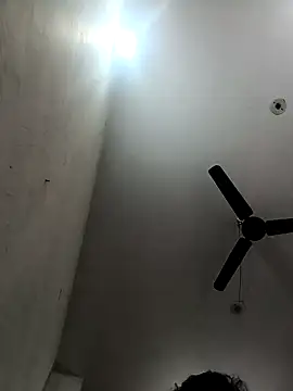 Snapshot of Appypie chatting on December 2025 05:35:02 AM Appypie online show from December 2025 05:35:02 AM