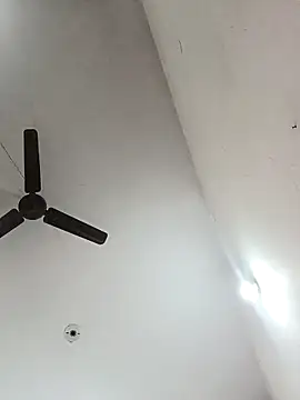 Snapshot of Appypie chatting on December 2025 05:13:01 AM Appypie online show from December 2025 05:13:01 AM