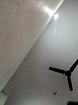 Snapshot of Appypie chatting on November 2025 05:46:01 AM Appypie online show from November 2025 05:46:01 AM