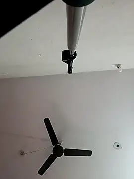 Snapshot of Appypie chatting on November 2025 06:39:01 AM Appypie online show from November 2025 06:39:01 AM