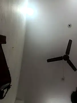 Snapshot of Appypie chatting on November 2025 05:01:01 AM Appypie online show from November 2025 05:01:01 AM