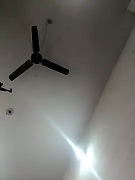 Snapshot of Appypie chatting on October 2025 06:01:01 AM Appypie online show from October 2025 06:01:01 AM