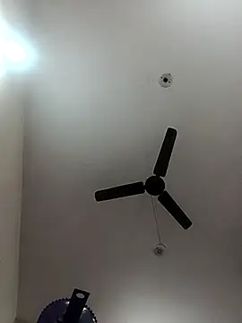 Snapshot of Appypie chatting on November 2025 06:07:02 AM Appypie online show from November 2025 06:07:02 AM