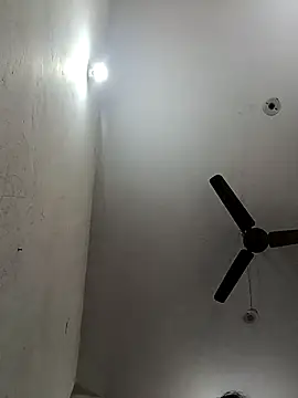 Snapshot of Appypie chatting on November 2025 06:39:02 AM Appypie online show from November 2025 06:39:02 AM