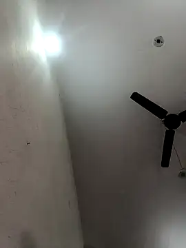 Snapshot of Appypie chatting on December 2025 06:01:01 AM Appypie online show from December 2025 06:01:01 AM