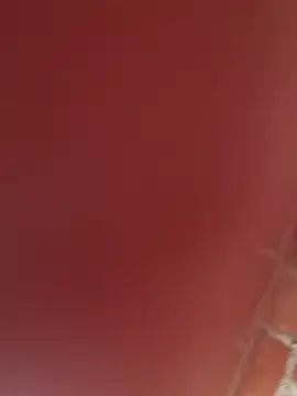 Snapshot of RAKEL37 chatting on November 2025 04:17:01 PM RAKEL37 online show from November 2025 04:17:01 PM