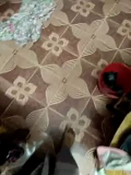 maddy3108 online show from December 2025 06:01:01 AM