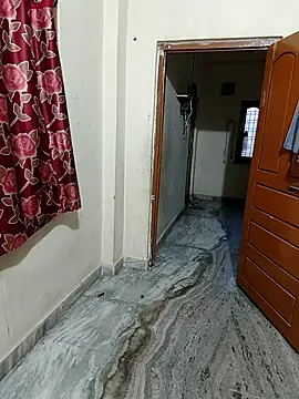 taratelugu online show from February 2026 12:18:02 PM