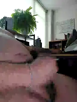 exhibimex online show from October 2025 03:23:02 PM