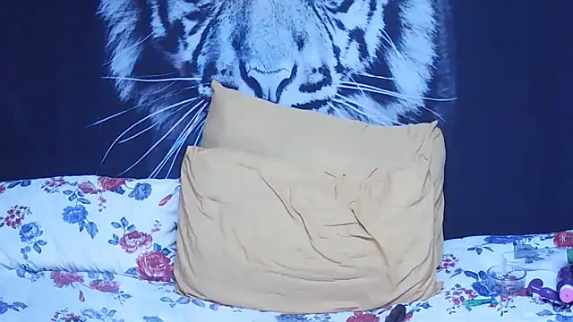 SweetPortableAmber online show from February 2026 12:56:01 AM